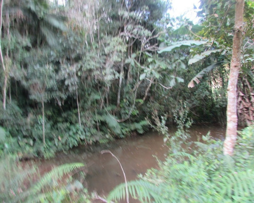 Imagem 17 de 21 de Terreno - 04611 - 33229241