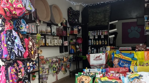 Imagen 6 de 6 de Cachorro Raza Pequeña 20kg Granel +obsequio Leer Descripción
