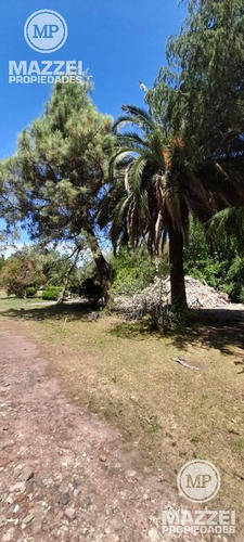 Imagen 3 de 15 de Terreno - Canning (ezeiza)