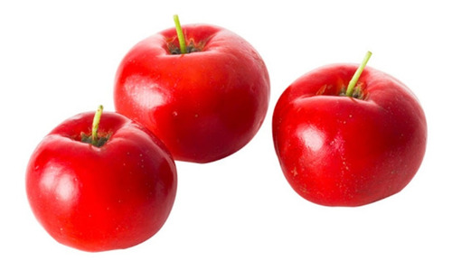 Semillas De Acerola X 100