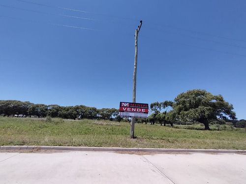 Gran Loteo En San Bernardo, Sobre Colectora!