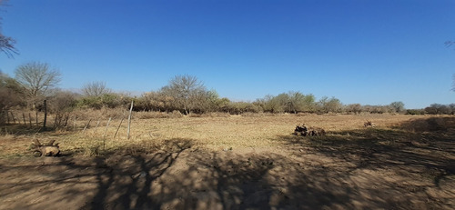Imagen 4 de 14 de Se Vende Lotes En Piedra Pintada- Villa Dolores