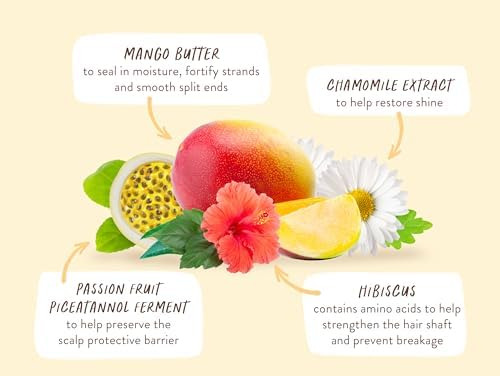 ChampĂș Nutritivo De Mango E Hibisco De Babo Botanicals Para