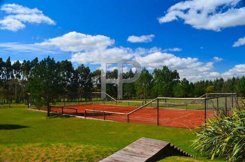 Imagen 3 de 15 de Chacra En Venta Cañada Bellaca 4 Dormitorios, 5 Hectáreas