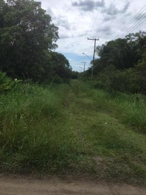 Terreno A 300mts Da Rodovia Em Itanhaém-sp