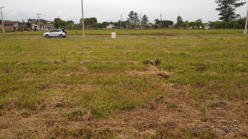 Imagem 6 de 8 de Terreno - Santa Cruz - Ref: 37269 - V-37266
