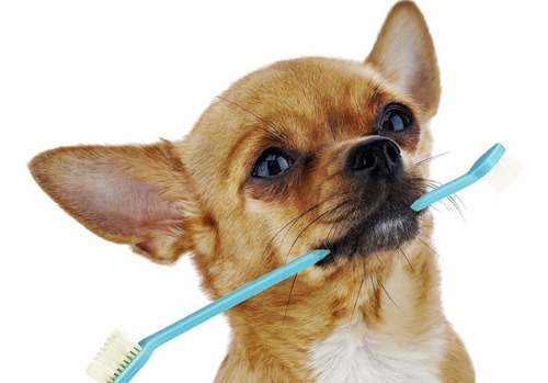Cepillos Dental Perros Gatos Doble Higiene Sarro Kit