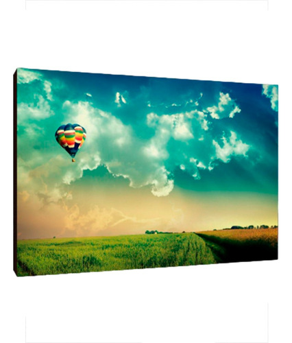 Cuadros Poster Globos Aerostaticos Xl 33x48 (rcos (1))