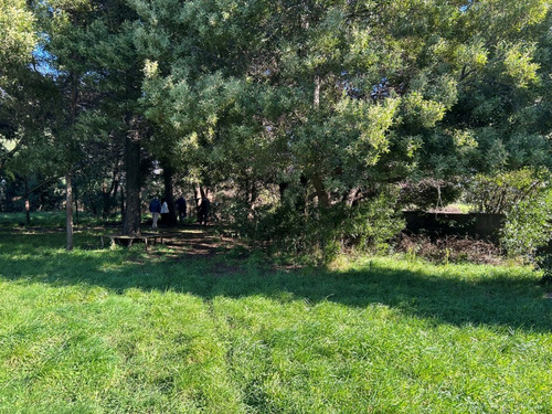 Gran Terreno Para Proyectos
