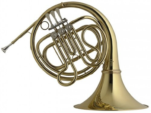 Stagg Ws Hr245 F 3 Rot Valve French Horn With Form Casemu