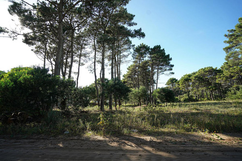 Lote En Pinamar Barrio Duplex- Sobre Calle Pescadilla E/ Del Mero Y Calamares