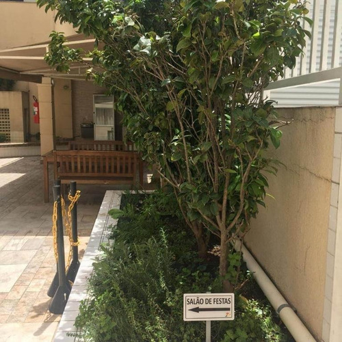 Imagem 22 de 24 de Apartamento Lindo! Ao Lado Metro Vila Matilde - Ap7121