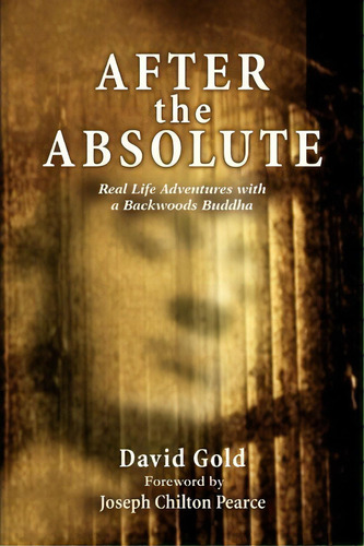 After The Absolute, De David Gold. Editorial Iuniverse, Tapa Blanda En Inglés