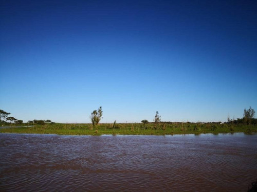 Imagen 12 de 29 de Campo De Isla Ganadero, 2.000 Has Sobre El Paranacito