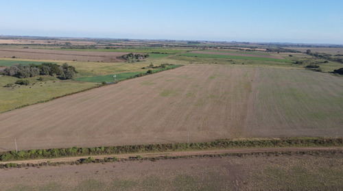 Campo Agricola De 21.5 Has En Corrales (antelo)