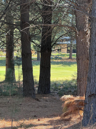 Terreno En Barrio Chapelco Golf