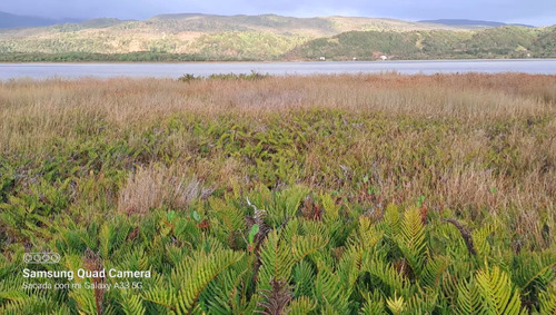 Terreno En Venta En Chonchi, Orilla De Lago