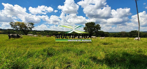 Imagem 11 de 15 de Fazenda Uberlândia Mg Para Pecuária Ou Soja, Milho 82,03 Hectares - 358