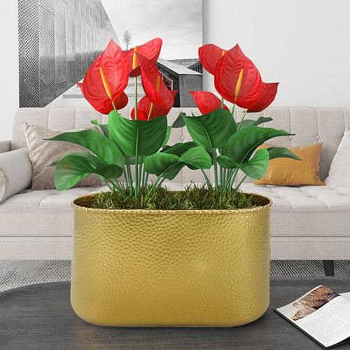 *para Vaso De Orquídea Borboleta Plantador Balde Aureato L