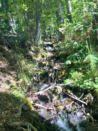 Imagen 2 de 5 de Terreno - Bariloche