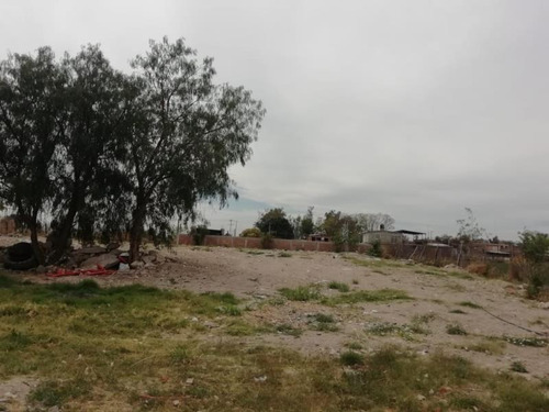Imagen 1 de 8 de Rancho En Renta San Jose De Bernalejo (el Guayabo)