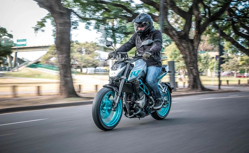 Imagen 10 de 11 de Zanella Rz 300
