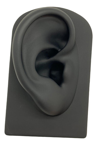 Modelo De Oreja Pantalla Profesional Silicona Artificial