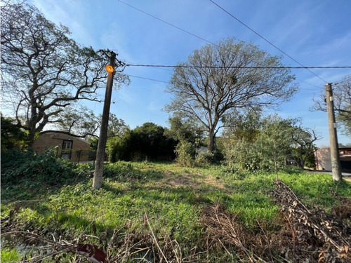 Esquina Arbolada Barrio Los Pinos