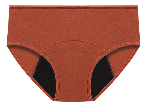 Bragas A Prueba De Fugas Para Mujer, 3 Piezas, Calzoncillos