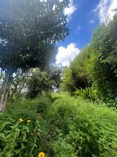 Mini Finca Club De Campo