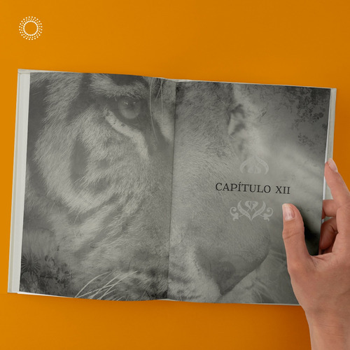 O caminho do buscador: A trilha do Bodhisattva, de Cândido, Patrícia. Editorial Luz da Serra Editora Ltda., capa mole em português, 2012