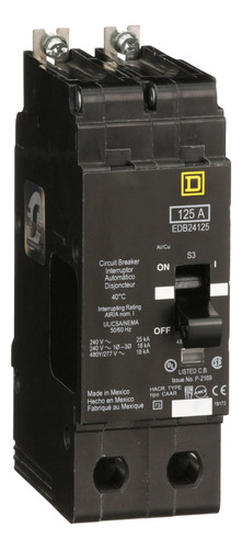 Edb24125 Interruptor Atornillable Marco E-2p 125 A 480/277
