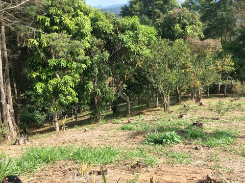 Imagem 10 de 13 de Chácara Em Ponunduva Região De Cajamar 2.700m