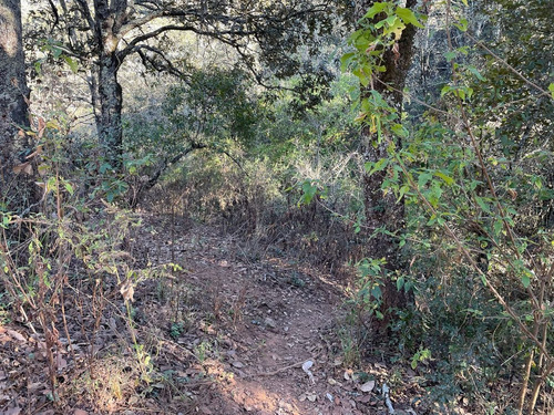 Terreno En Venta En Santa Rosa Con Acceso Vehicular Y Ojo De