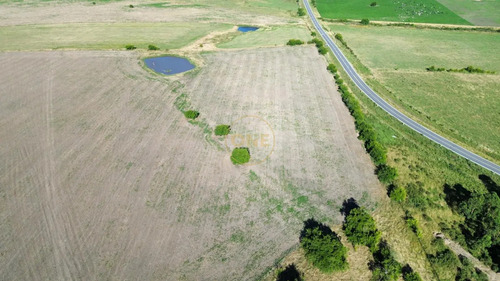 Venta De Campo De 150 Hectáreas En Curva Matonte Florida