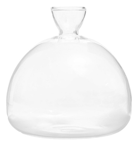# Florero Inicial De Semillas De Aguacate Transparente,