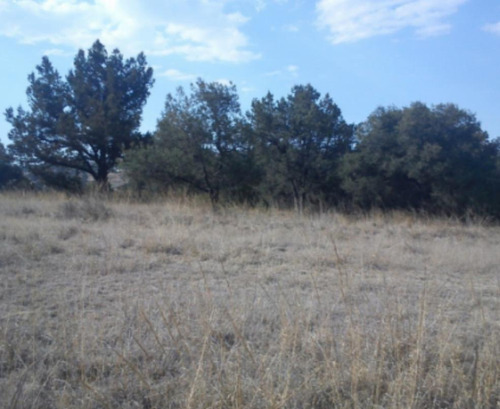 Terreno En Venta Xaltocan Tlaxcala