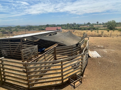 Vende Parcela Con Casa Y Mucho Mas, Region Maule