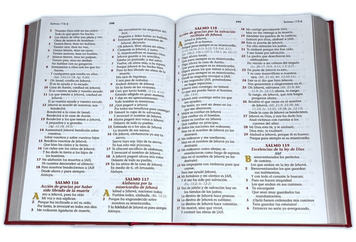 Imagen 6 de 6 de Biblia Familiar De Lujo Letra Gigante Diccionario Cafe Rvr60