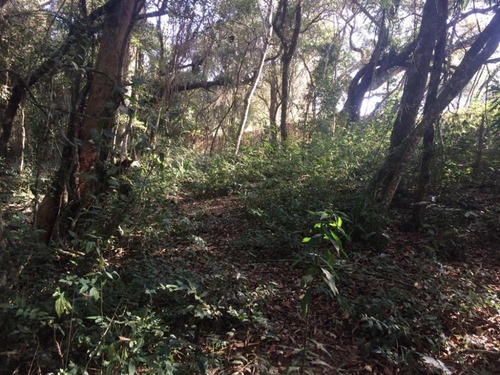 Imagem 12 de 13 de Terreno 1.300m² - Rio De Una - Ibiúna-sp - Tr211127v