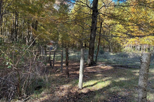 Venta Campo Curarrehue
