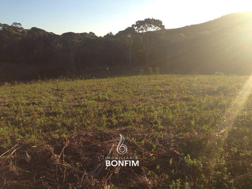 Imagem 9 de 12 de Terreno À Venda Com 20000m² Por R$ 490.000,00 - Mandirituba / Pr - Te0252