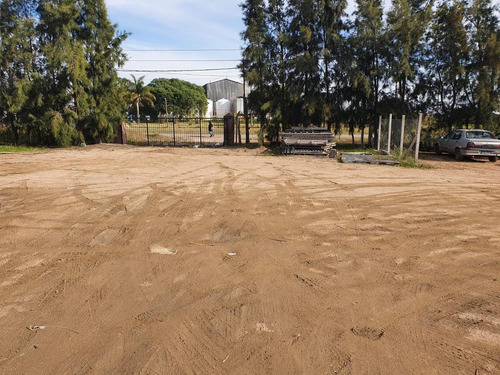 Imagen 2 de 8 de Belloni Prox Instrucciones
