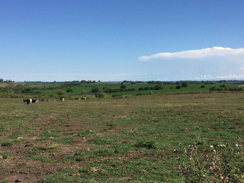 Campo De 13 H. A Solo 11km Del Centro De Colonia