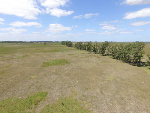 450 Has - Campo Ganadero En Venta A Metros De Ruta !!!