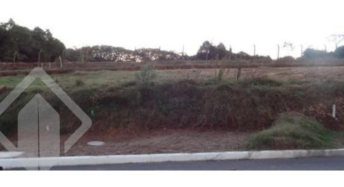 Imagem 6 de 8 de Terreno - Protasio Alves - Ref: 109917 - V-109917