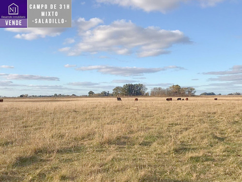 Imagen 11 de 13 de Vendo Campo De 31 Ha