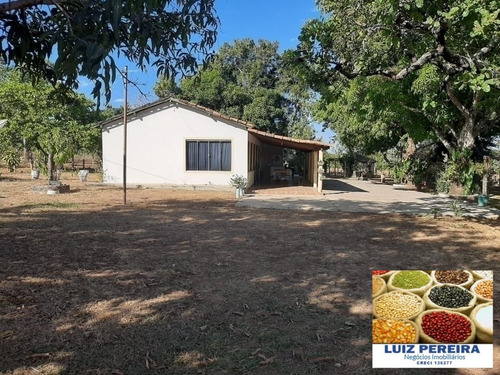 Fazenda À Venda Em Dueré/vale Do Araguaia -to - (dupla Aptidão) - 1537