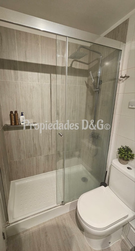 Dpto. Amoblado 3d/2b + 1e/1b+cierre Terraza+remod Closet