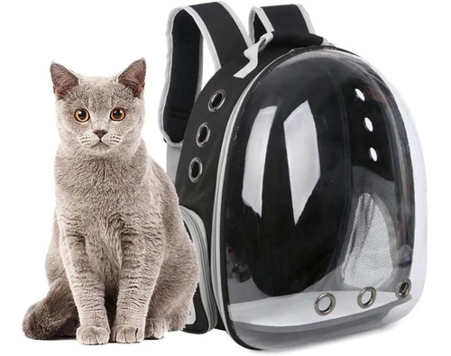 Bolso Mochila Transporte Gatos Perros Mascotas Chicas Viajes